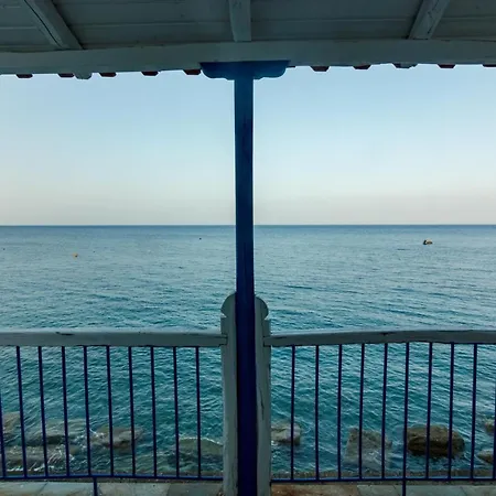 Petalides Up *